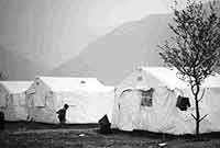 Camp d'Albanais du Kosovo, le Poularia 