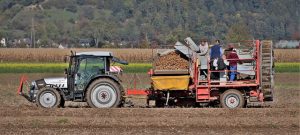 Les travailleurs détachés bulgares dans les domaines agricoles en France