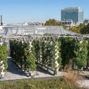 Friche urbaine en cours de verdissement à Bratislava (Slovaquie). Un exemple de conversion douce d'un espace abandonné en un pôle de biodiversité urbaine. Ce type d'intervention reflète un changement dans la perception des marges urbaines, désormais considérées comme des fondations potentielles pour la résilience écologique (Copyright : Adobe Stock).